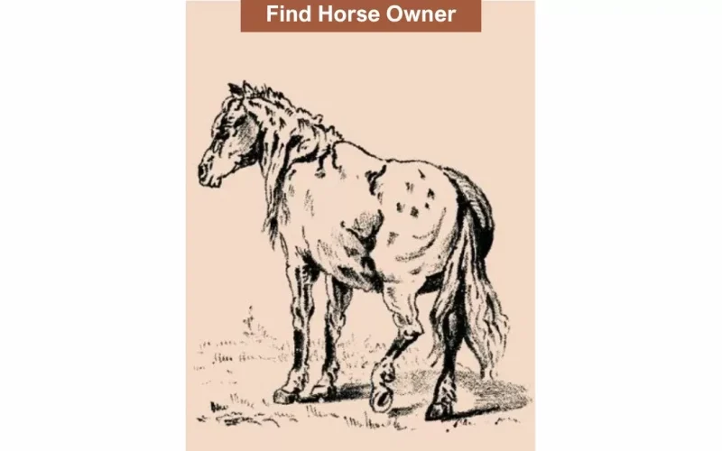 «أتحداك لو عرفته».. هل يمكنك العثور على صاحب الحصان المخفي خلال 5 ثوانٍ؟ 